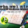Game vui Vua Săn Cá, chơi vui nhận thưởng tiền thật Anto365